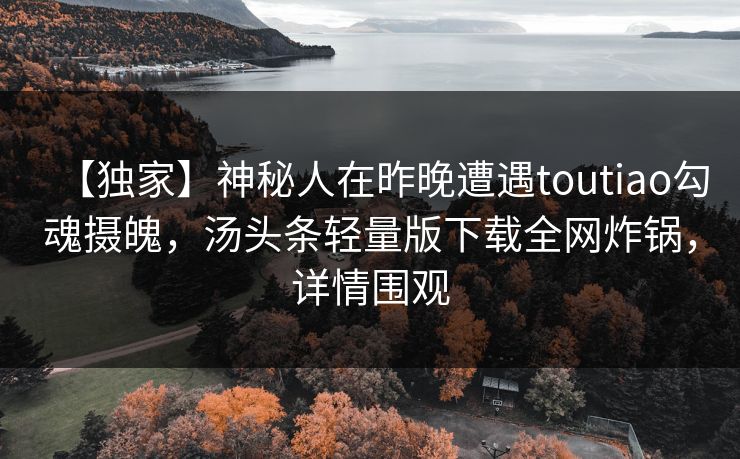 【独家】神秘人在昨晚遭遇toutiao勾魂摄魄，汤头条轻量版下载全网炸锅，详情围观