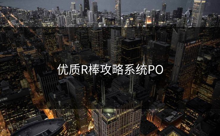 优质R棒攻略系统PO