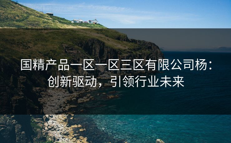 国精产品一区一区三区有限公司杨：创新驱动，引领行业未来