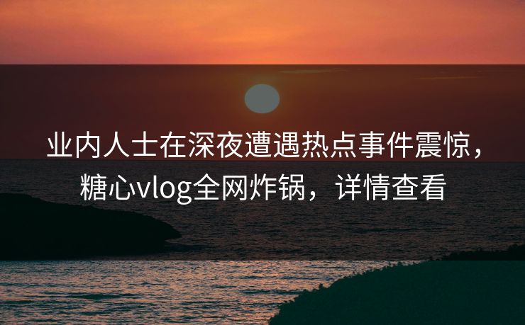 业内人士在深夜遭遇热点事件震惊,糖心vlog全网炸锅,详情查看