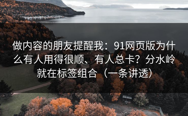 做内容的朋友提醒我：91网页版为什么有人用得很顺、有人总卡？分水岭就在标签组合（一条讲透）